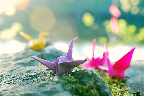 免费领新加坡高速虚拟主机 无需备案