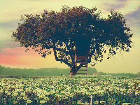 垃圾免费空间——三丰云